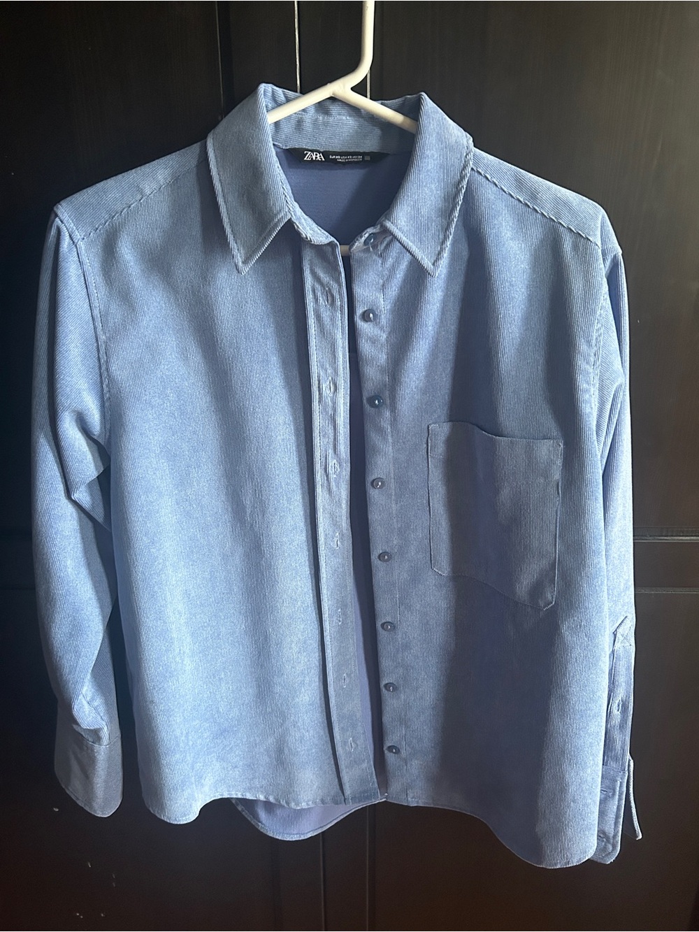 Zara Light Blue Button-Up Shirt